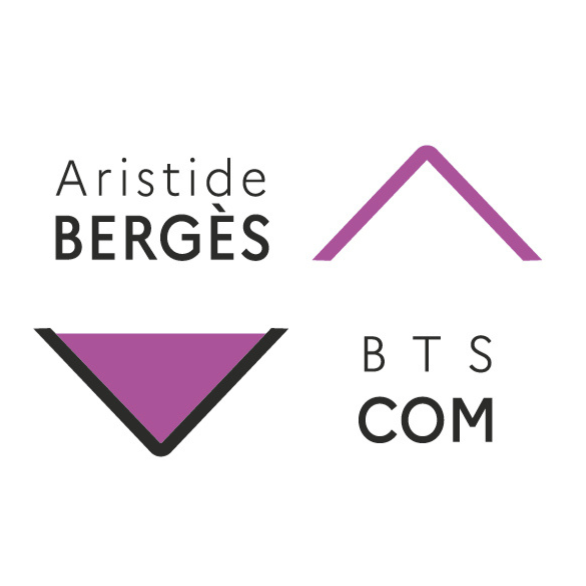 Gestion RS BTS Com&rsquo;